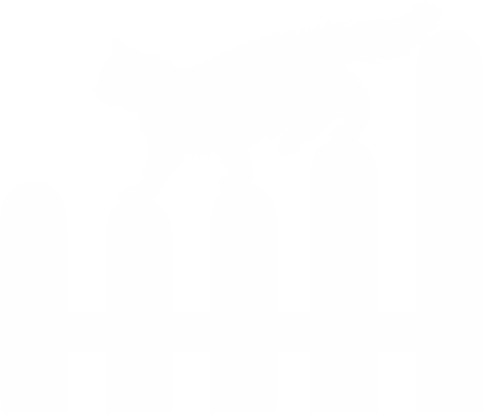 Cat on a fence.png